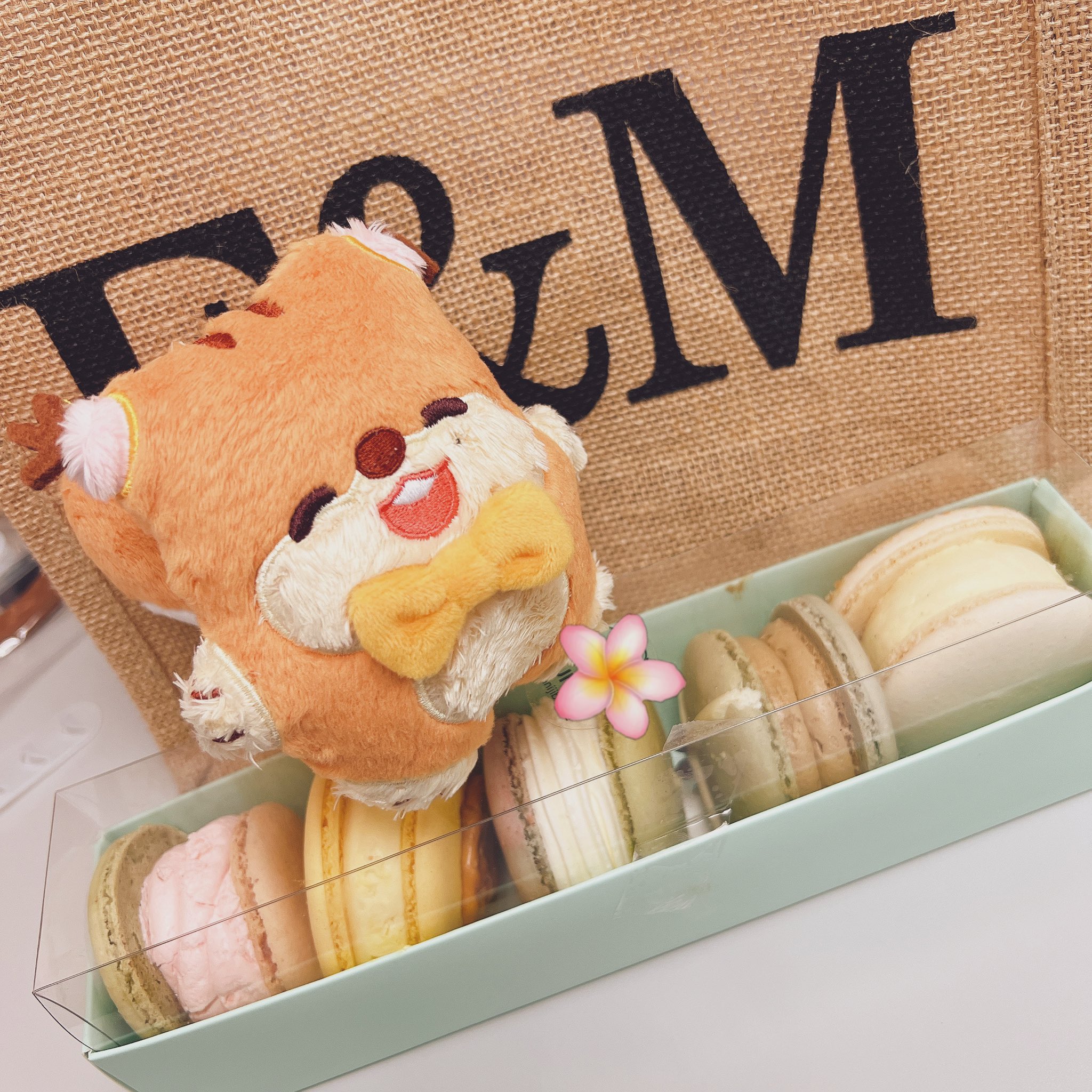 [잡담] 이 동물 인형 너무 귀여운데?? | 인스티즈