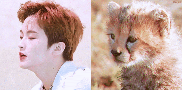 [잡담] 엔시티 마크 뭐야? | 인스티즈