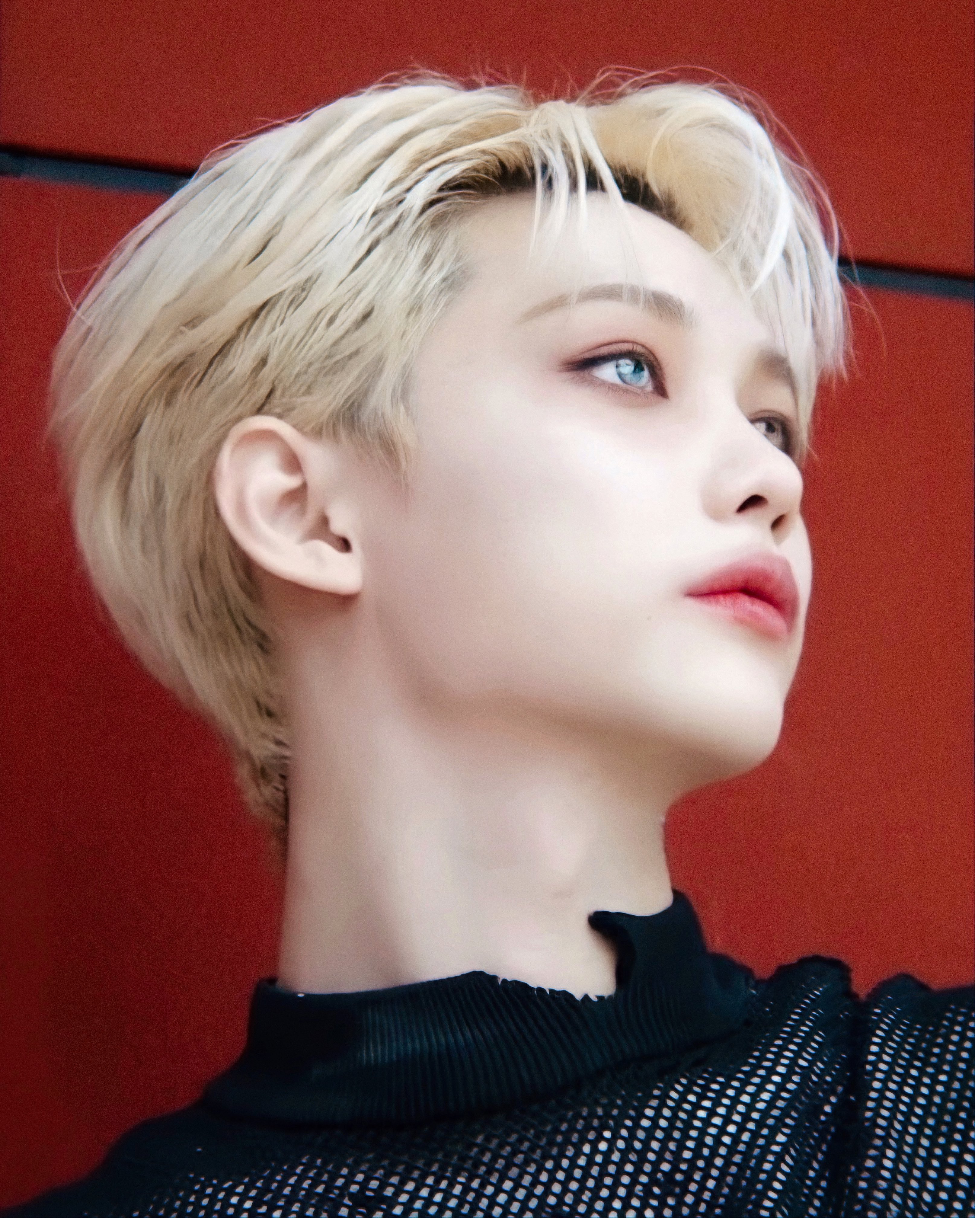 [잡담] 진짜 요정? 요정?? 엘프??? | 인스티즈