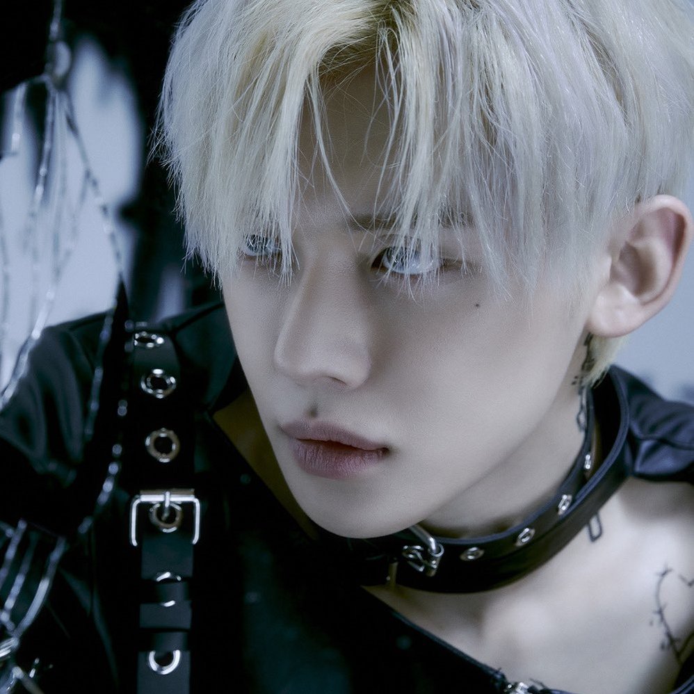 [잡담] 이런건 타팬한테 물어봐야지.. 어떤 컨셉이 더 잘나온 거 같아..? | 인스티즈