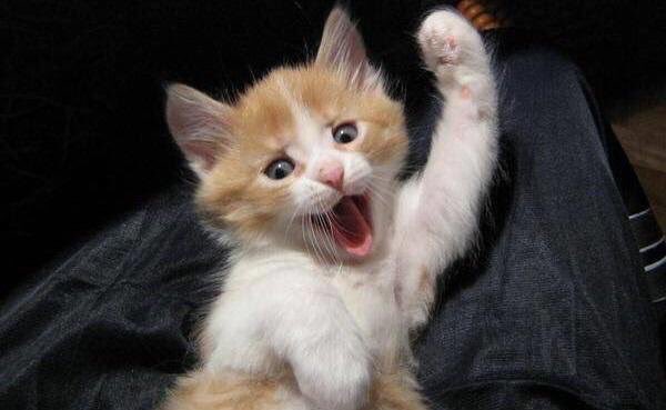 [잡담] 부서진 기분은 왠지 나쁘지 않아..... 미쳤다 | 인스티즈