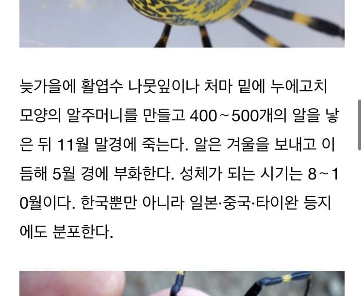 [잡담] 진짜 우리 팬들 너무 웃김 | 인스티즈