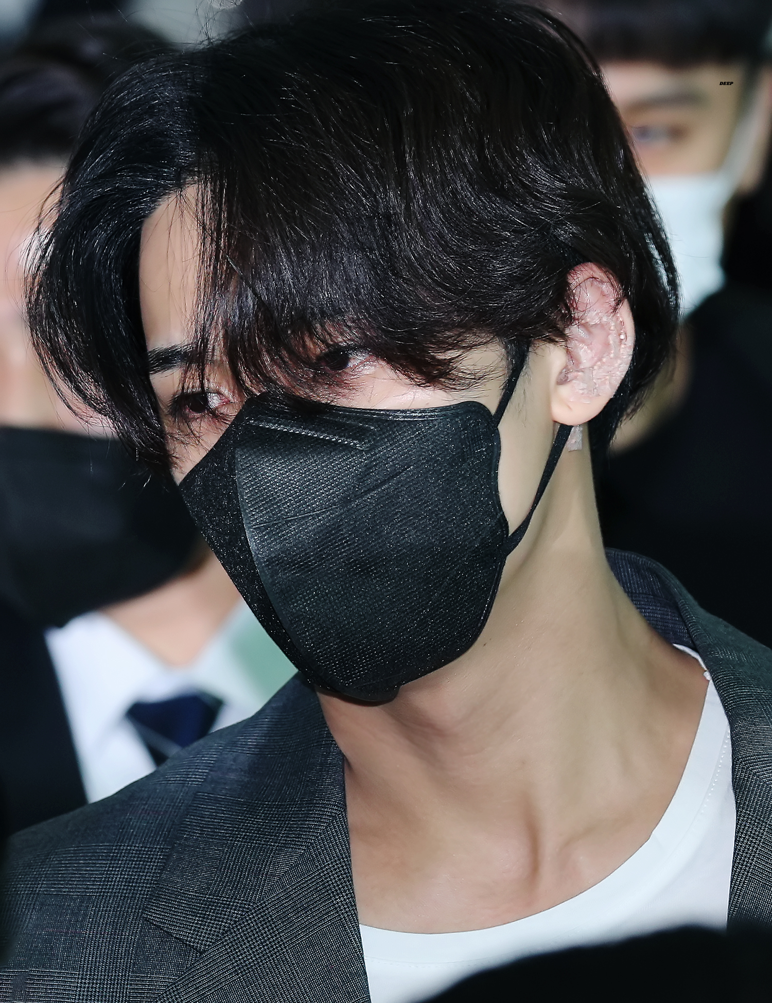 [잡담] 세븐틴 팬 아기캐럿인지 아닌지 구분하는 법 | 인스티즈