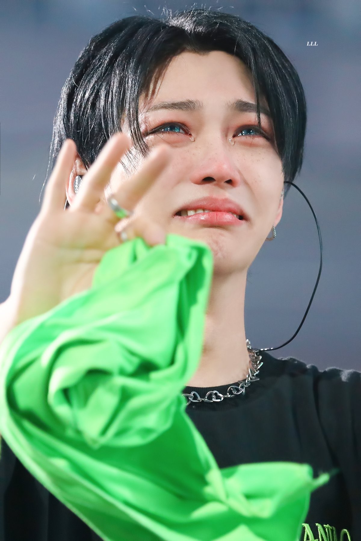 [잡담] 용복이 울기 전후.. 카리쓰마고앵에서 촉촉한고양이됨 | 인스티즈