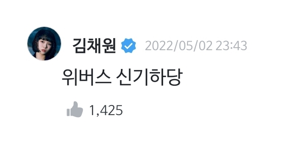 [잡담] 나는야 리더 김채원 멤버들한테 댓글을 달아주지 | 인스티즈