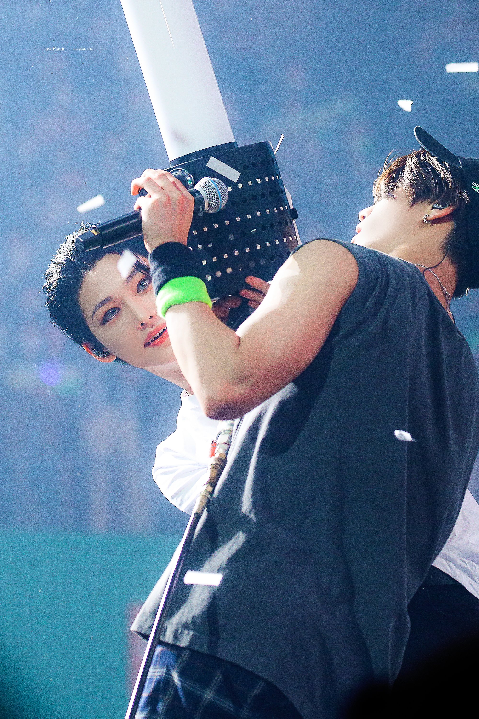 [잡담] 까꿍 고양이😸 | 인스티즈