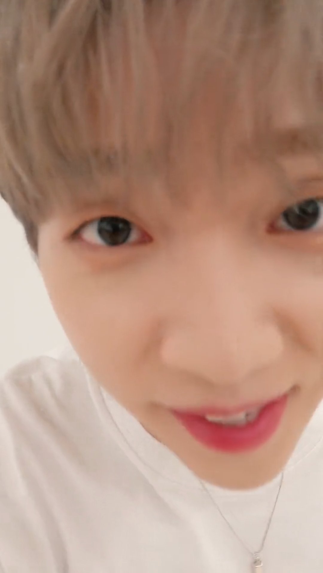 [잡담] ㅇㄴ구냥 펫캠이잖아요 | 인스티즈