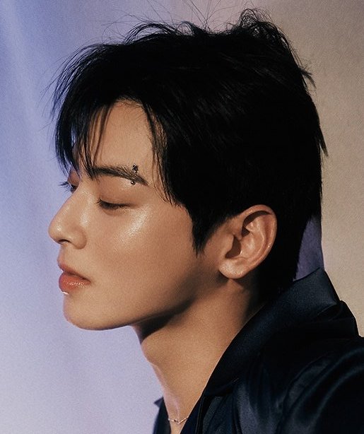 [잡담] 차은우 귀걸이하고 피어싱 한 거 왤케 좋니.... | 인스티즈