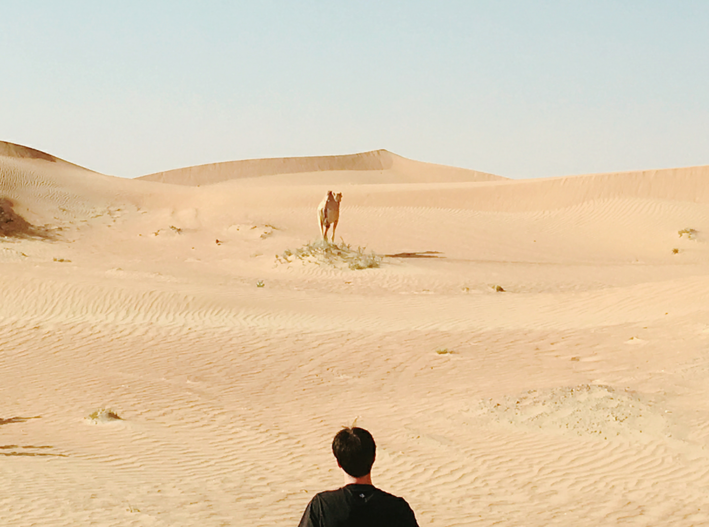 [잡담] 나비소녀의 돌판에서 위치? 의미?하는게 신기함 | 인스티즈