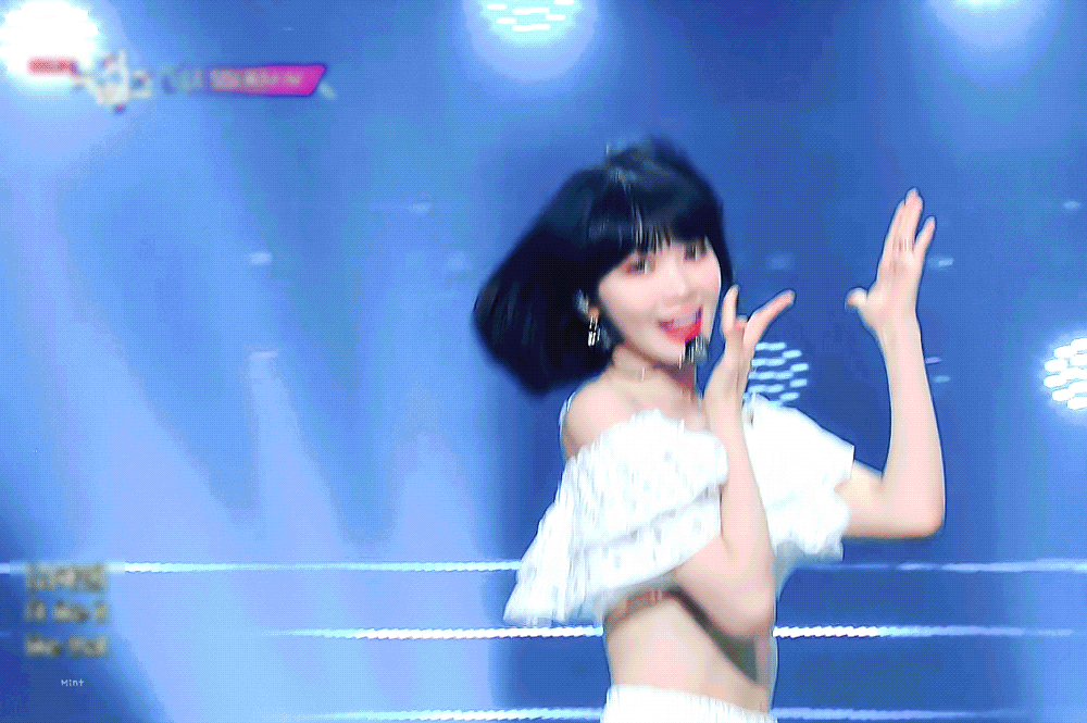 [잡담] 채원이 오늘 말티쥬 같아 | 인스티즈