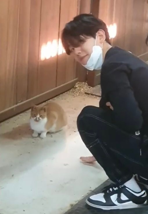 [잡담] 백현이 요즘 사복 스타일 너무 좋은데 | 인스티즈