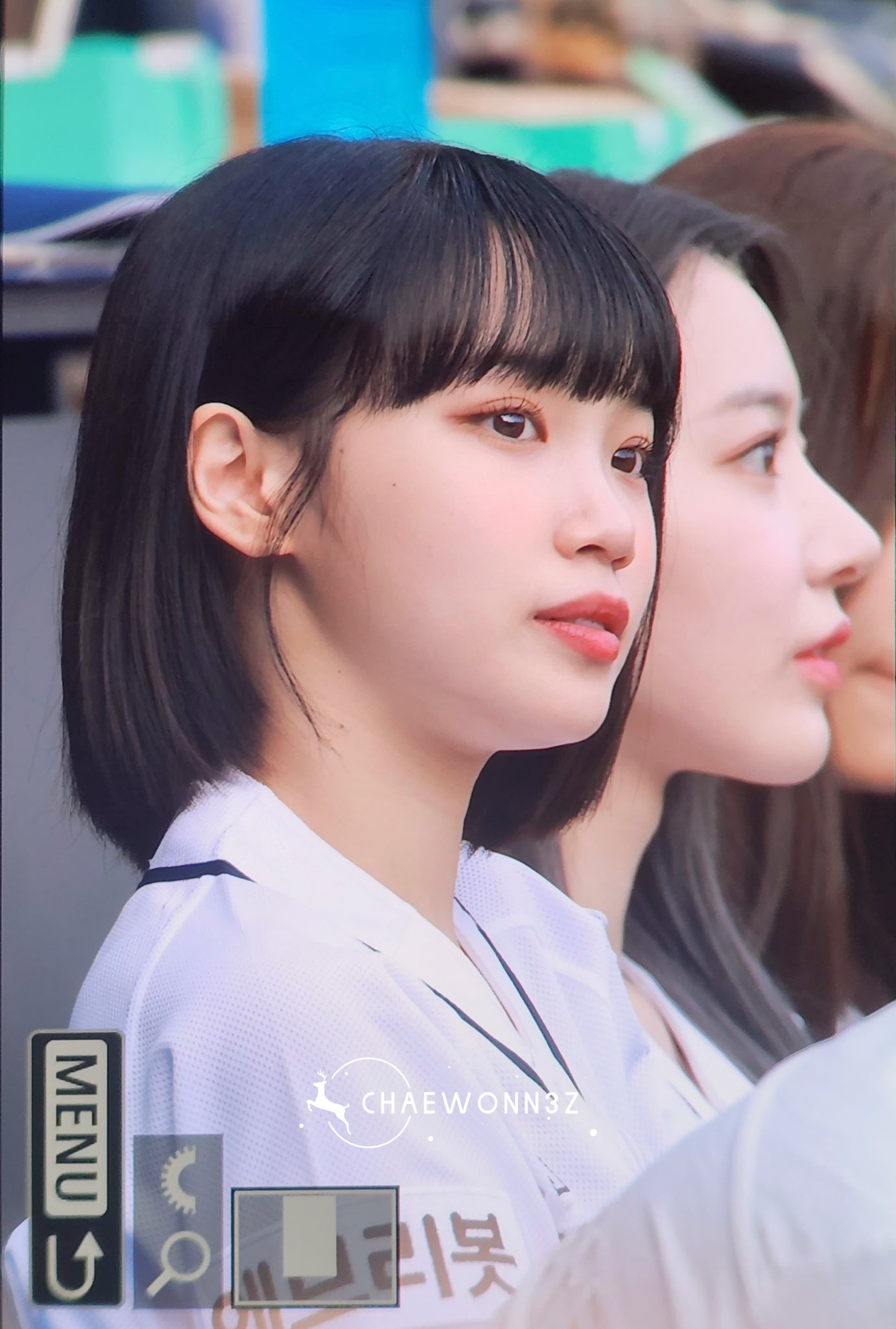 [잡담] 와 사쿠라 코 엄청 높네 | 인스티즈