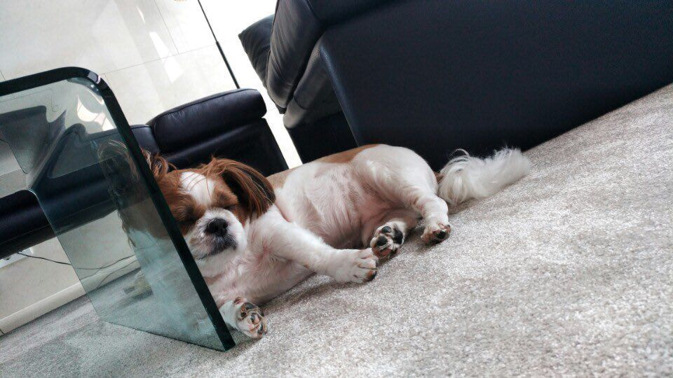 [잡담] 미키 이거 너무 귀여워 | 인스티즈