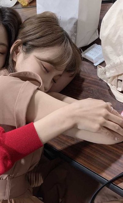 [잡담] 김채원 진짜 강아지임! 아무도 아니라고 할 수 없음! | 인스티즈