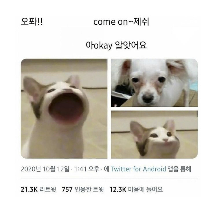 [잡담] 제시랑 유재석 이거 너무 웃김 | 인스티즈