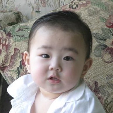 [잡담] 엔하이픈 정원 자기가 푼 과사 보면 ㄹㅇ팬잘알 | 인스티즈