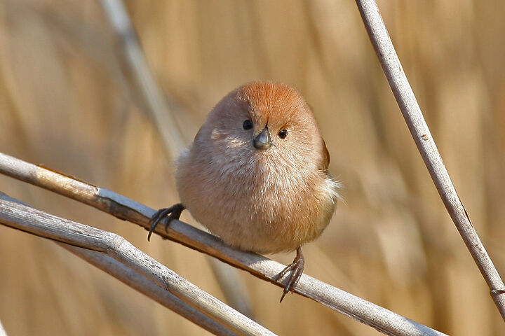 [잡담] 전민규 어쩜 저런 보물이 들어왔나 싶어 | 인스티즈
