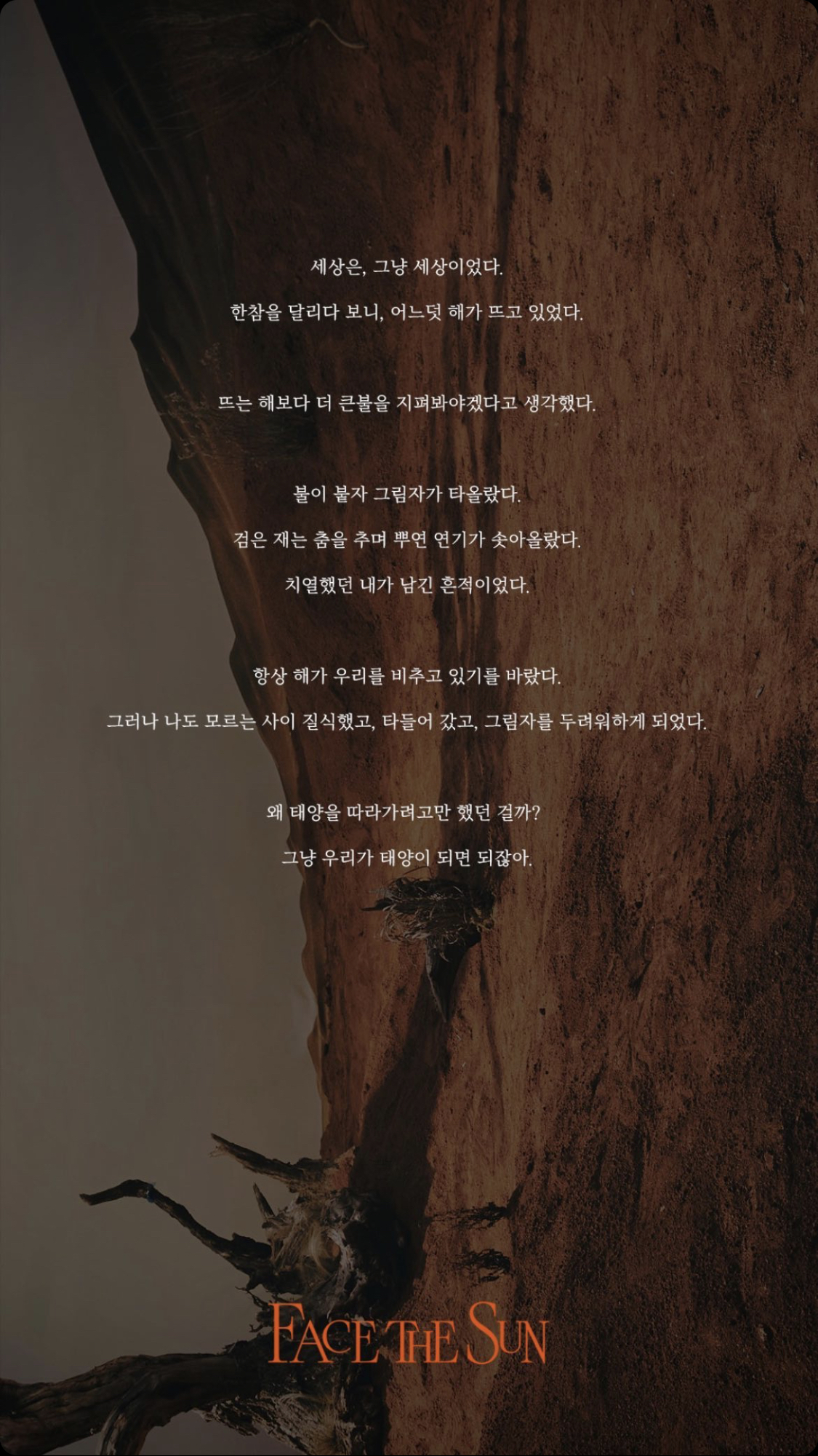 [잡담] 세븐틴 오늘 티저 관련 문구 떴는데 ㄹㅇ 소설같다 | 인스티즈