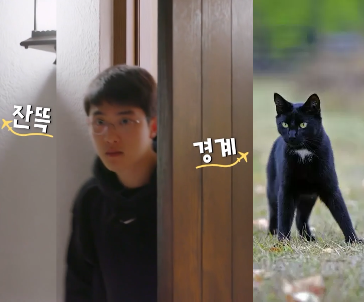 [잡담] 이거봐 경수 진짜 깜장고양이 그잡채다 | 인스티즈