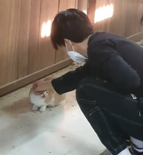 [잡담] 익들아 이거 남친짤 ㄱㄴ? | 인스티즈