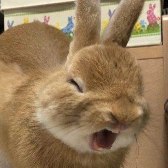 [잡담] 오늘 저녁 7시에 nct127 킬링보이스 나온다 ㅎㅎ | 인스티즈