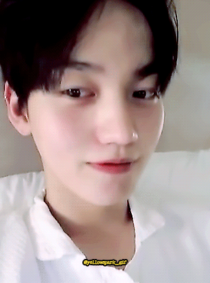 [잡담] 말티즈 와앙 | 인스티즈