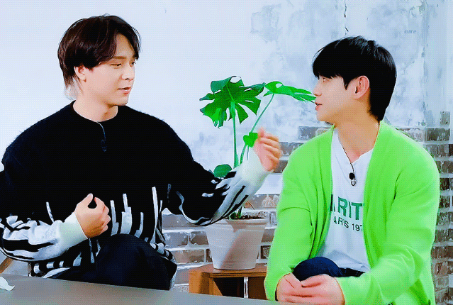 [잡담] 막냉이만 보면서 웃는 형들 너무좋다ㅋㅋㅋㅋㅋㅋㅋ(ㅈㅇ 하이라이트) | 인스티즈