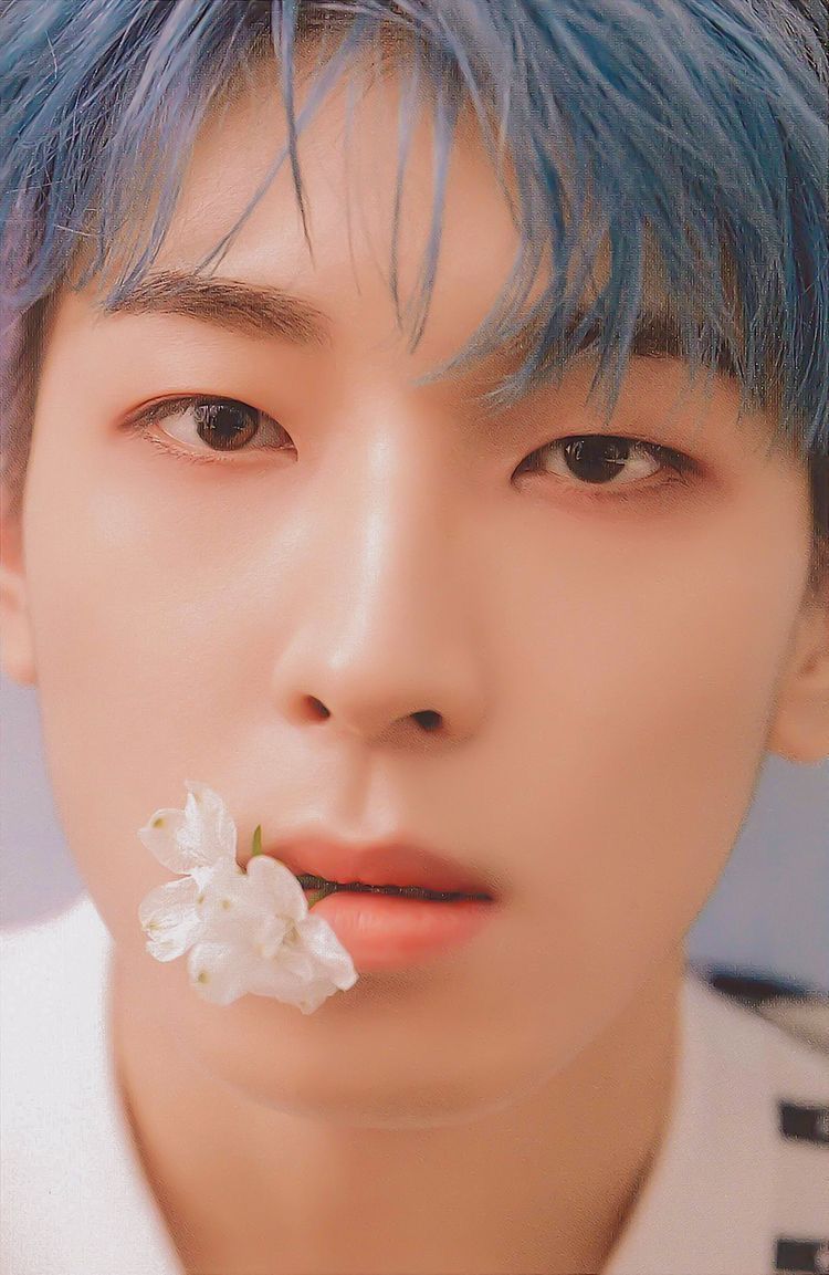 [잡담] 세븐틴 일본 앨범 중 내 최애 컨셉... | 인스티즈