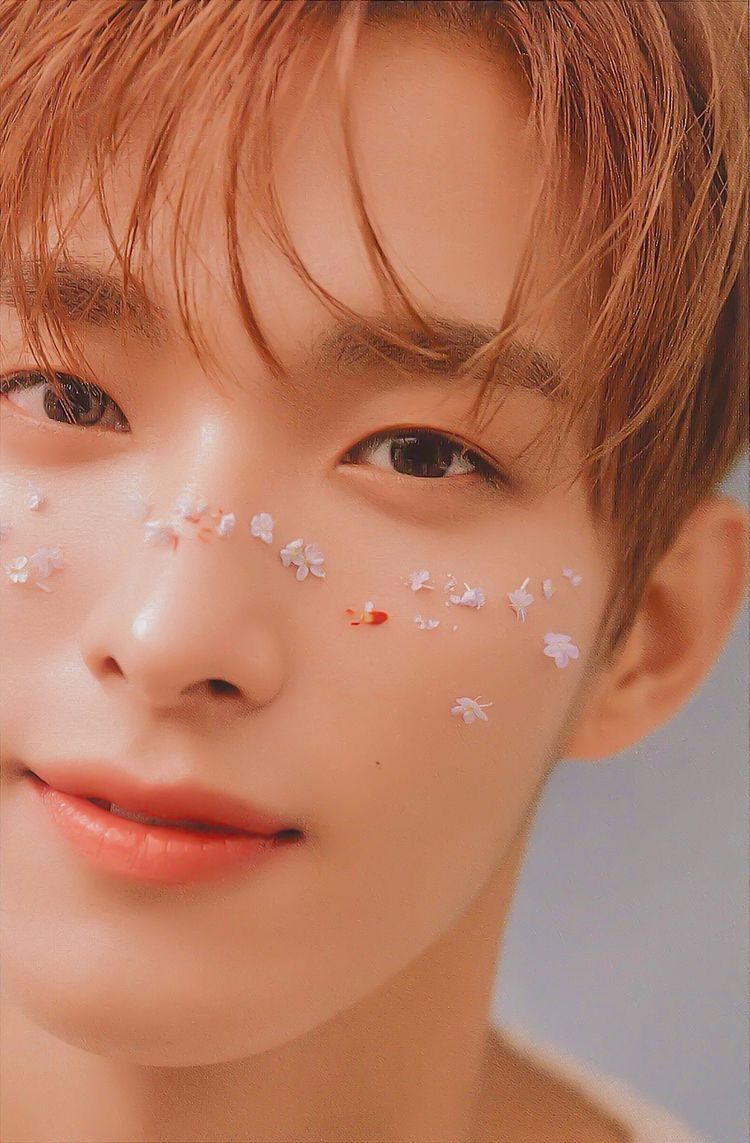 [잡담] 세븐틴 일본 앨범 중 내 최애 컨셉... | 인스티즈