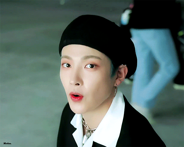 [잡담] 고양이 vs 햄스터 vs 퓨마 vs 다람쥐 | 인스티즈