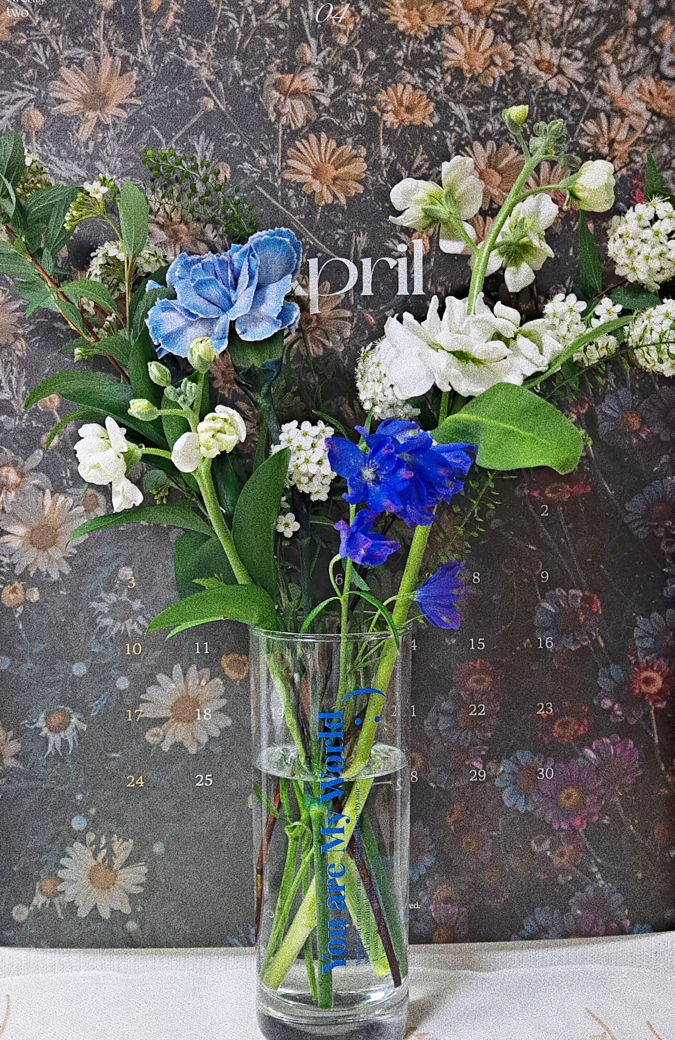 [잡담] 이런 건 타팬들이 골라줘야 한다며?!?! 나 오늘까지 골라야돼ㅠㅠ | 인스티즈