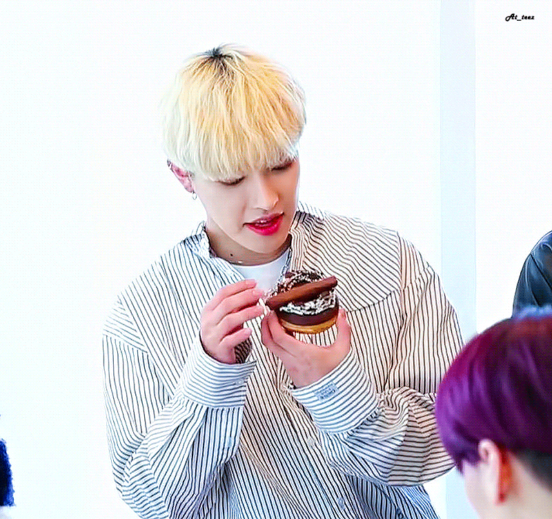 [잡담] 고양이 vs 햄스터 vs 퓨마 vs 다람쥐 | 인스티즈