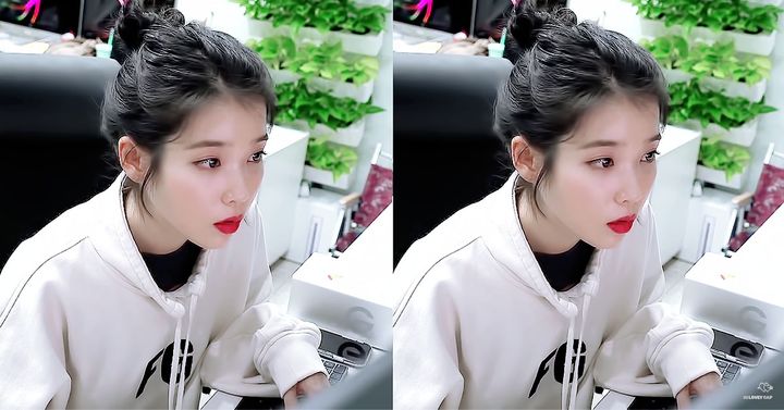 [잡담] 아이유가 트위티인 이유🐥🐣🐤 | 인스티즈