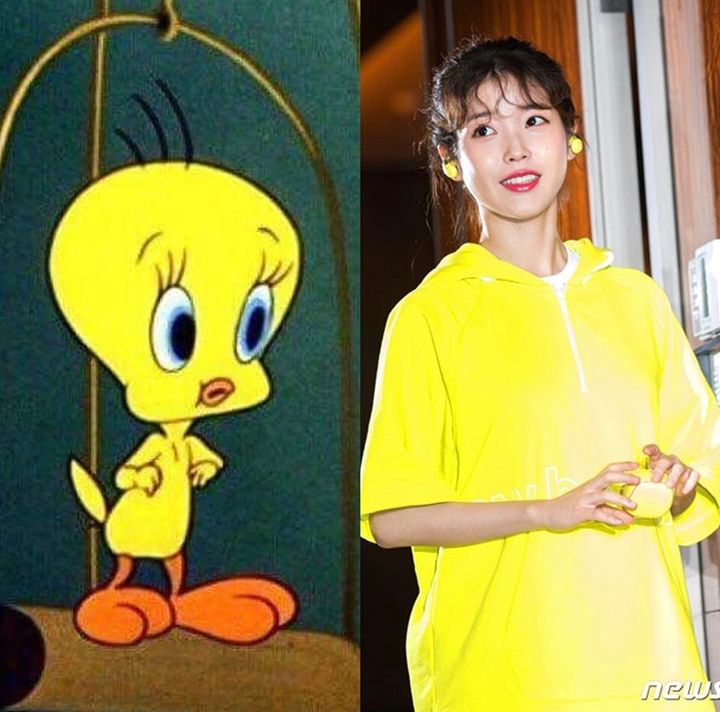 [잡담] 아이유가 트위티인 이유🐥🐣🐤 | 인스티즈