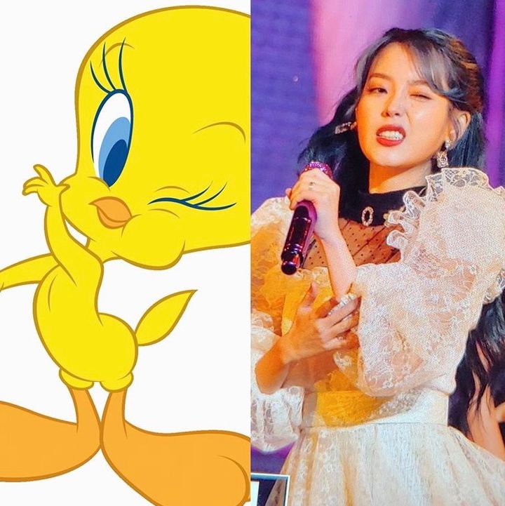 [잡담] 아이유가 트위티인 이유🐥🐣🐤 | 인스티즈