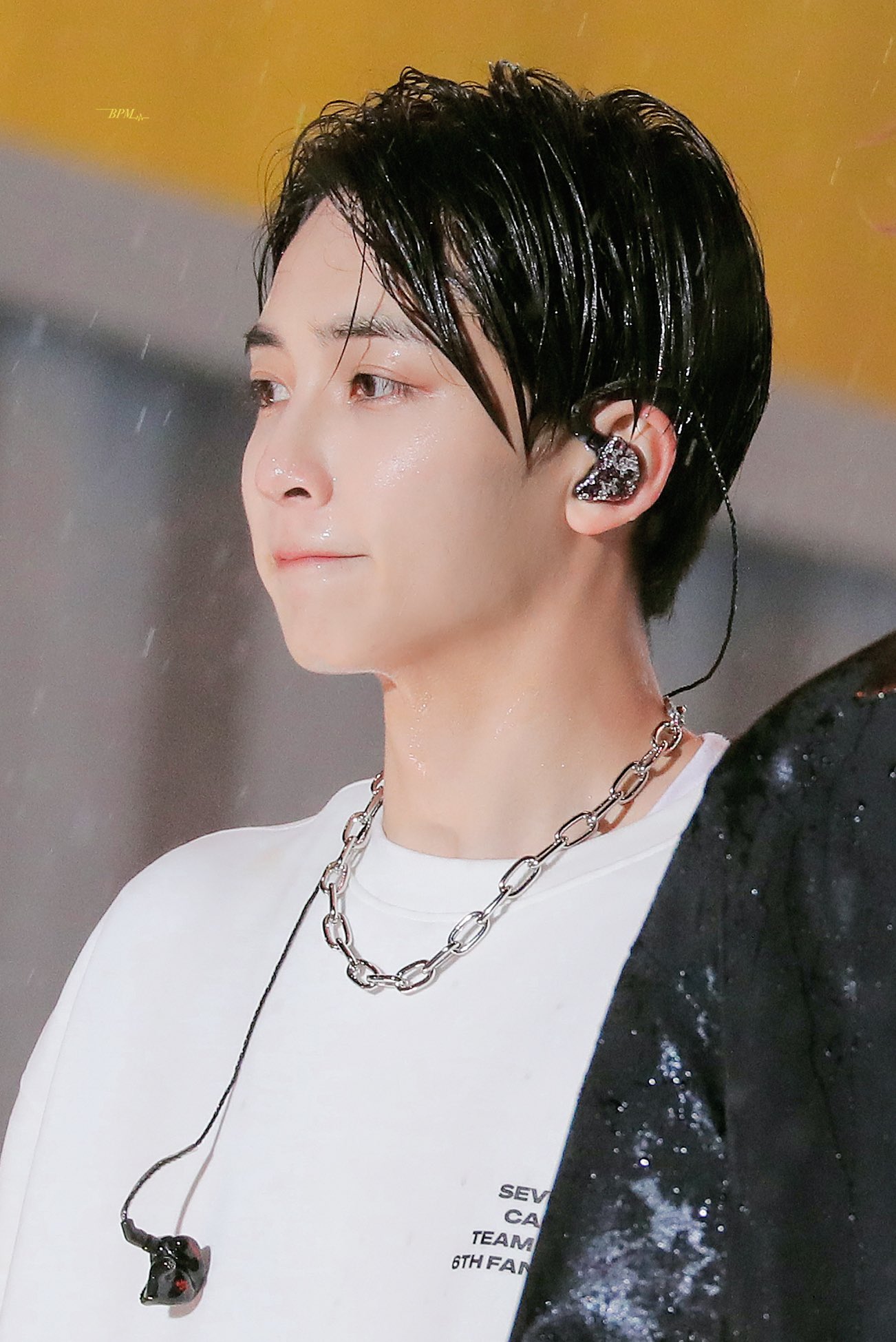 [잡담] 세븐틴 정한 비에 쫄딱 젖은 다람지... | 인스티즈