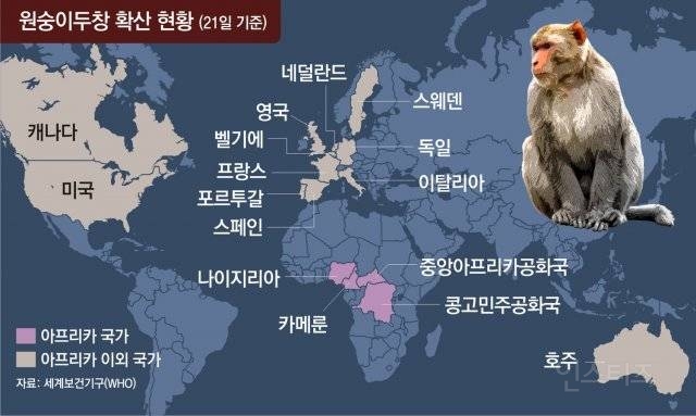 아프리카發 원숭이두창 전세계 확산 | 인스티즈
