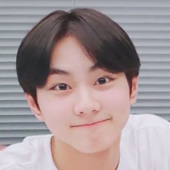 [잡담] 내가 본 사람중에 제일 예의바른 고양이같이 생김 | 인스티즈