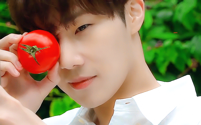 [잡담] 전설의 김성규 + 토마토 조합 볼사람 | 인스티즈