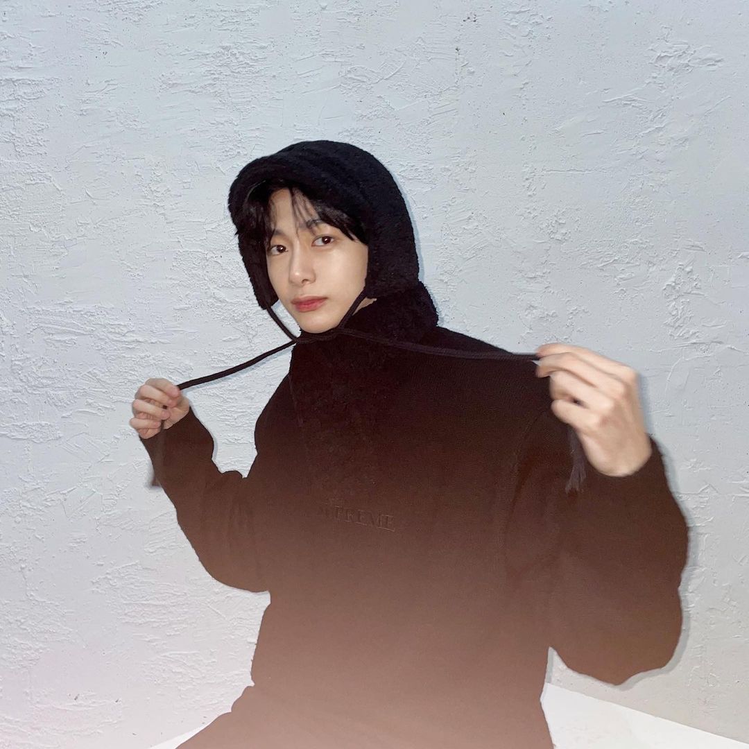 [잡담] 나 취향 소나무야? | 인스티즈