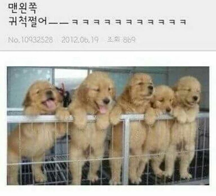 [잡담] 큐 이거 귀척 쩔어 짤같다 | 인스티즈