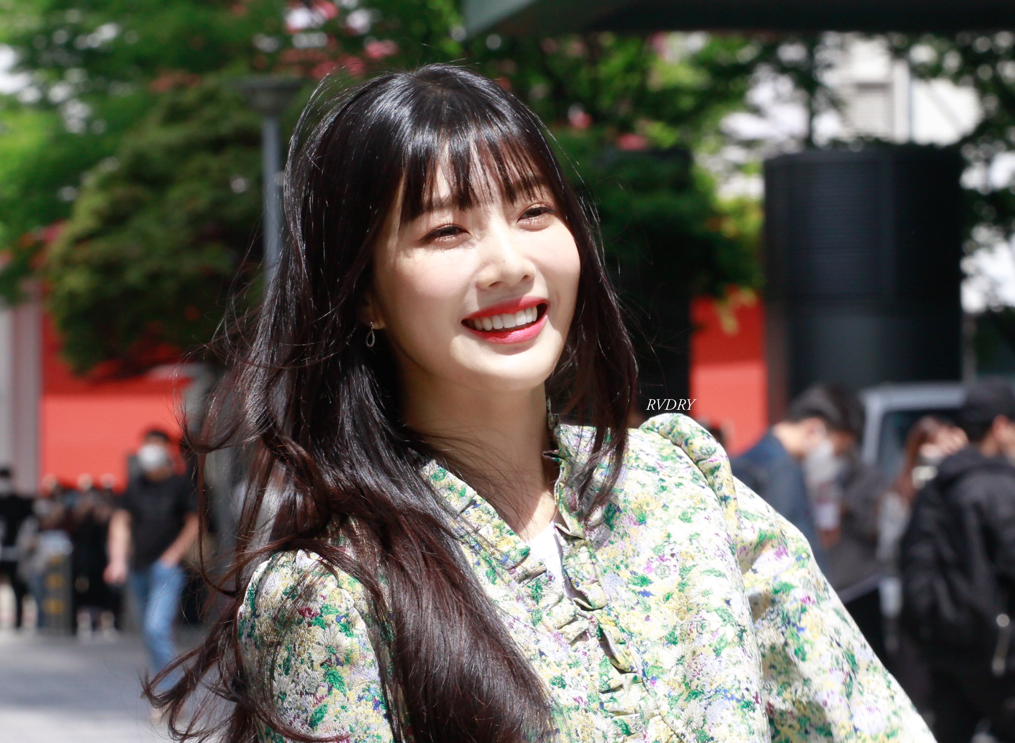 [잡담] 조이 요새 동물농장 출근길 진짜 맑음이 그 자체야ㅠㅠ | 인스티즈