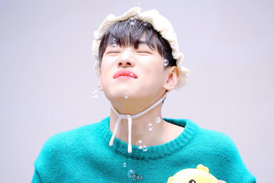 [잡담] 소신발언 1나 박재찬은 고양이가 아니라 강아띠임 | 인스티즈