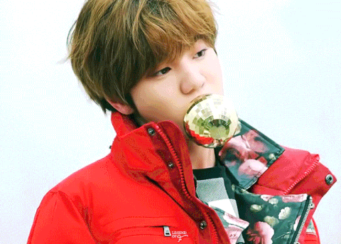 [잡담] 아니 이성종 이거 어떻게 물고있는거야ㅋㅋㅋ | 인스티즈