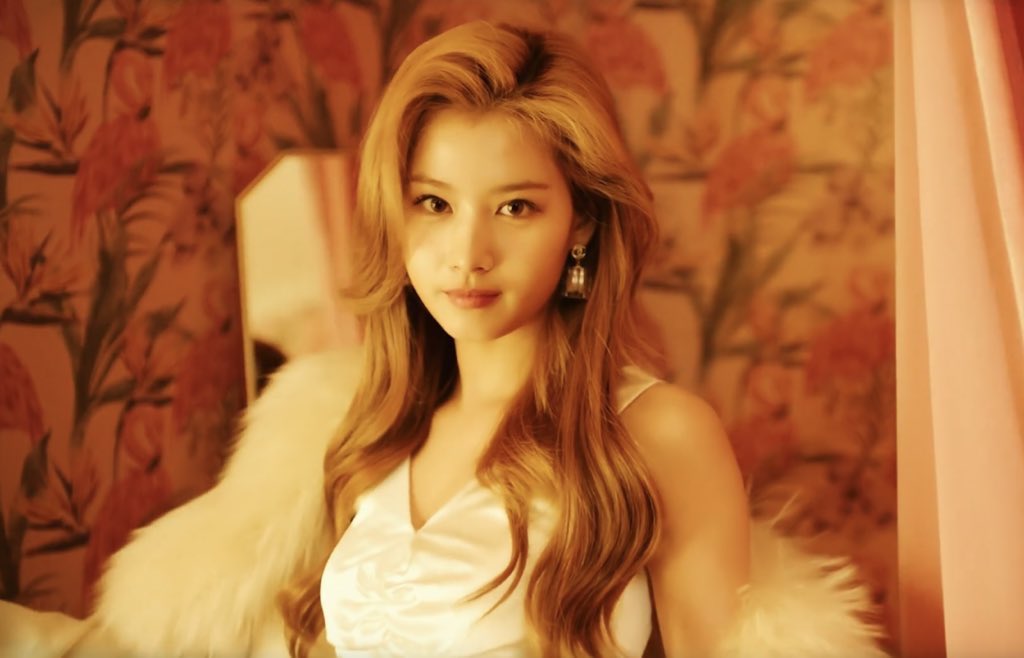 [잡담] 트와 사나 이 사진들 비주얼 도라방스 | 인스티즈