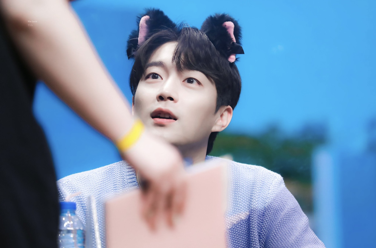 [잡담] 하이라이트 윤두준 닮은 동물상 호랑이-강아지인 줄 알았는데 두개 더 있음 | 인스티즈