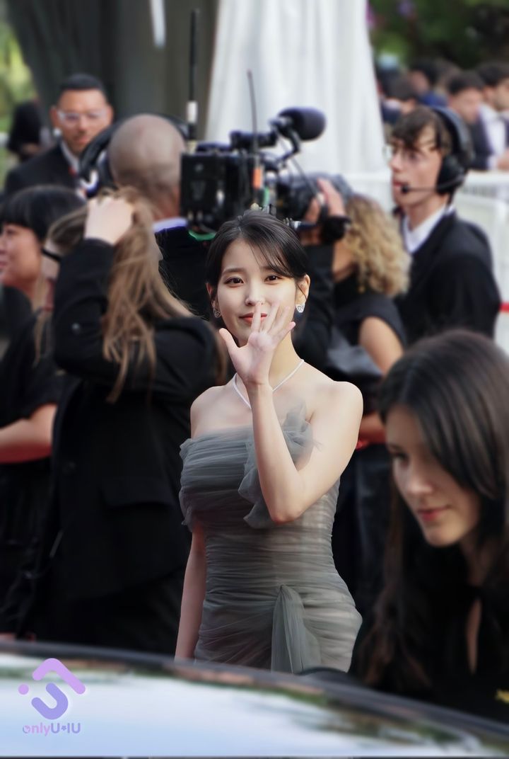 [잡담] 아이유 칸 레카 팬이 찍은 직찍 보실 분 | 인스티즈