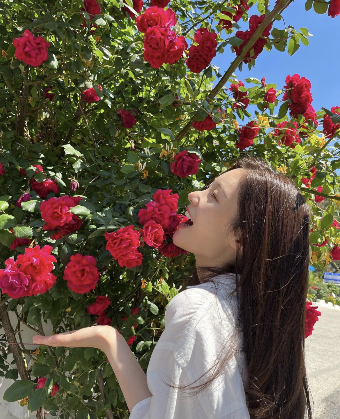 [잡담] 정채연 일상사진을 개조아하는 나...(사진많음) | 인스티즈