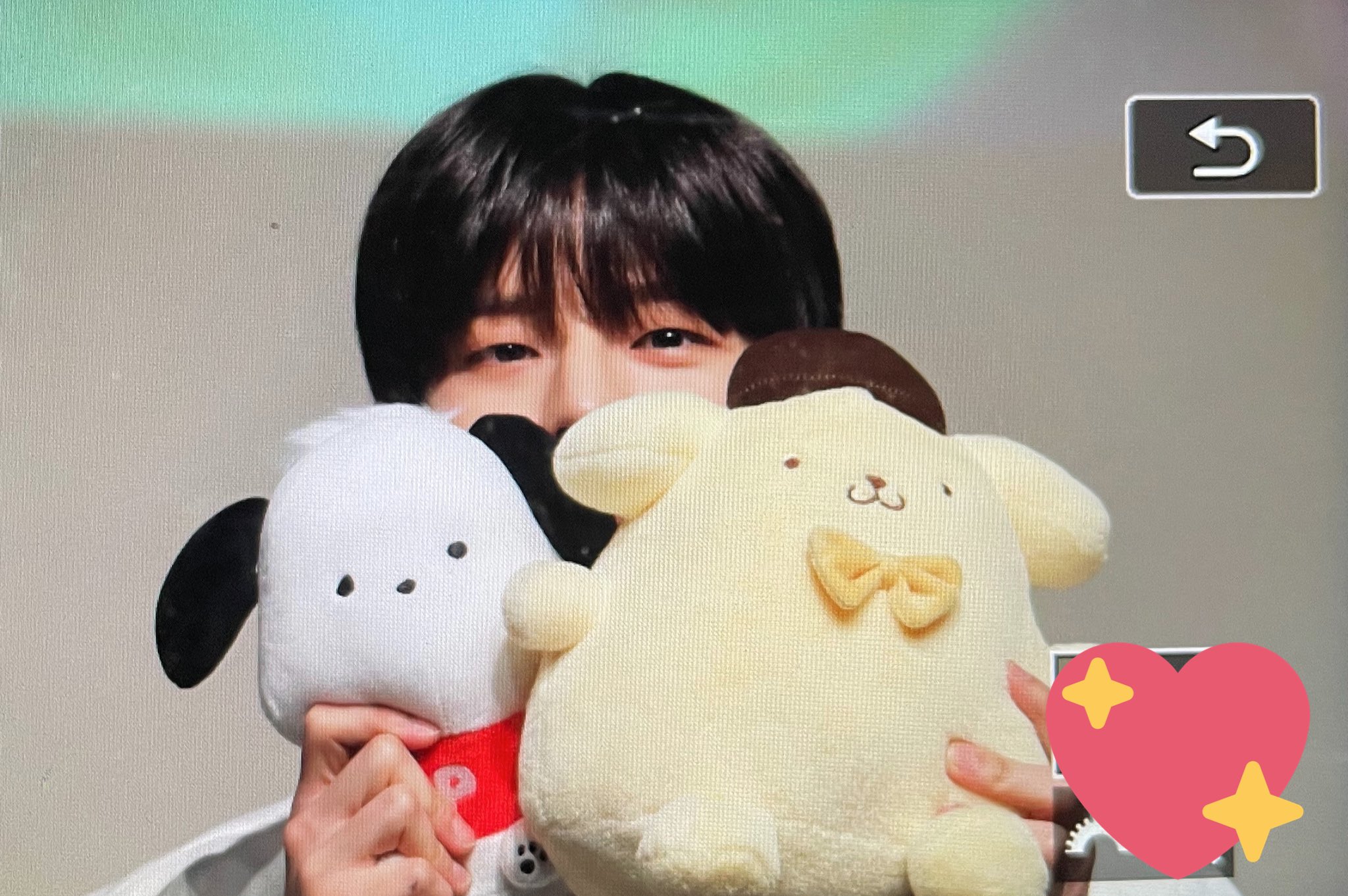 [잡담] 익들이 보기에 포챠코 vs 폼폼푸린 뭐같아? | 인스티즈