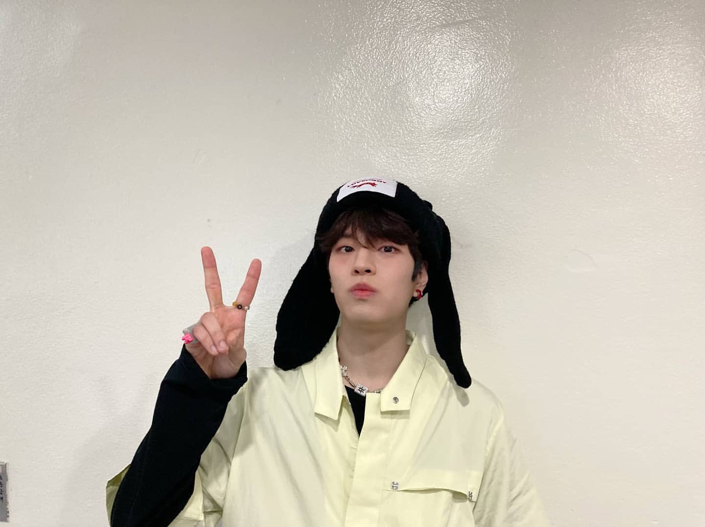 [잡담] 익들이 보기에 포챠코 vs 폼폼푸린 뭐같아? | 인스티즈